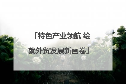 特色产业领航 绘就外贸发展新画卷