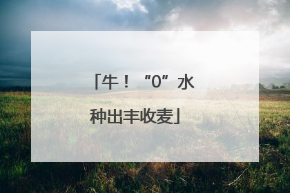 牛！“0”水种出丰收麦