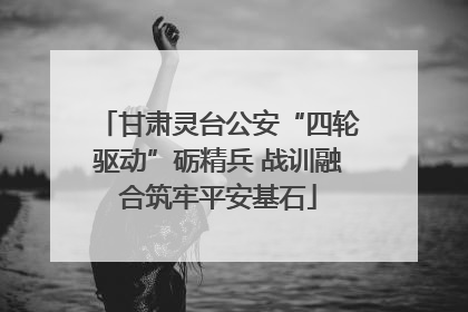 甘肃灵台公安“四轮驱动”砺精兵 战训融合筑牢平安基石