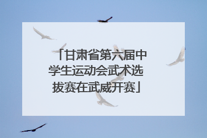 甘肃省第六届中学生运动会武术选拔赛在武威开赛