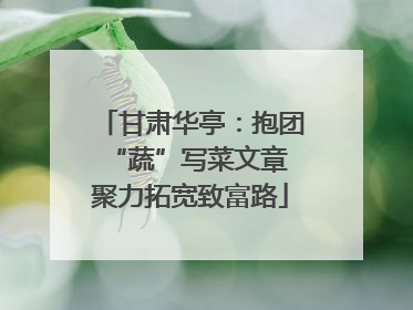 甘肃华亭：抱团“蔬”写菜文章 聚力拓宽致富路