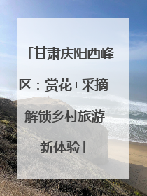甘肃庆阳西峰区：赏花+采摘 解锁乡村旅游新体验