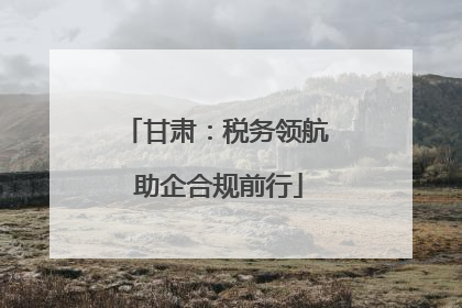 甘肃：税务领航 助企合规前行