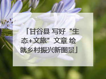 甘谷县 写好“生态+文旅”文章 绘就乡村振兴新图景