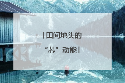 田间地头的“芯”动能