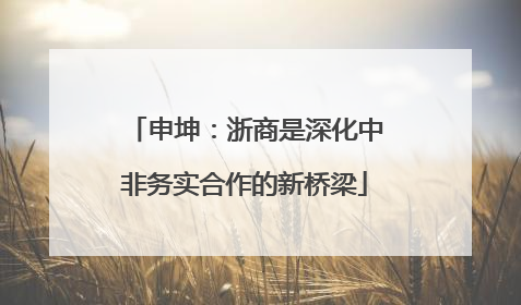 申坤：浙商是深化中非务实合作的新桥梁
