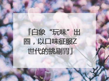 白象“玩味”出圈，以口味征服Z世代的挑剔胃