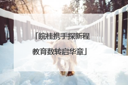 皖桂携手探新程 教育数转启华章