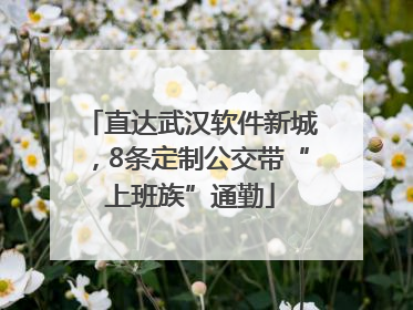 直达武汉软件新城，8条定制公交带“上班族”通勤