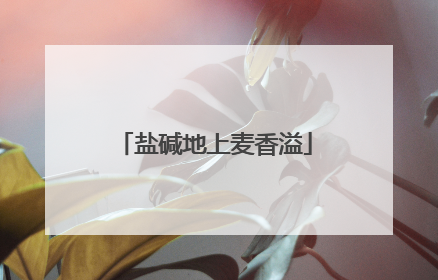 盐碱地上麦香溢