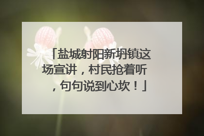 盐城射阳新坍镇这场宣讲，村民抢着听，句句说到心坎！