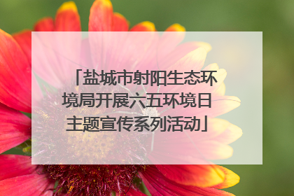 盐城市射阳生态环境局开展六五环境日主题宣传系列活动
