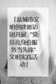 盐城市文明创建巡访团开展“党员亮身份服务当先锋”文明实践活动