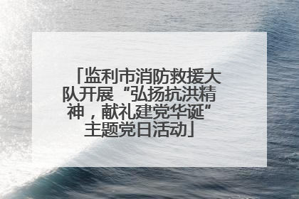 监利市消防救援大队开展“弘扬抗洪精神，献礼建党华诞”主题党日活动
