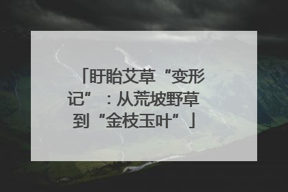 盱眙艾草“变形记”：从荒坡野草到“金枝玉叶”