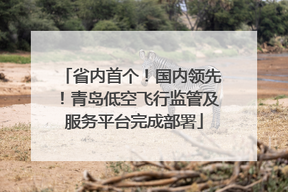 省内首个！国内领先！青岛低空飞行监管及服务平台完成部署