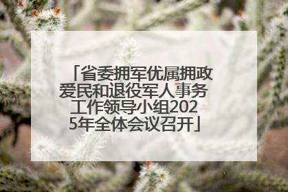 省委拥军优属拥政爱民和退役军人事务工作领导小组2025年全体会议召开