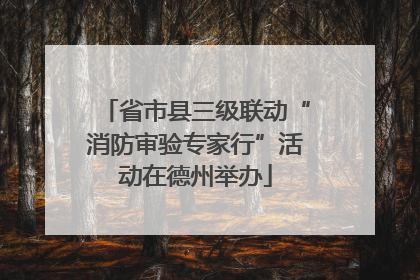 省市县三级联动“消防审验专家行”活动在德州举办