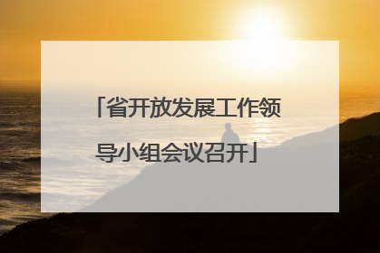 省开放发展工作领导小组会议召开