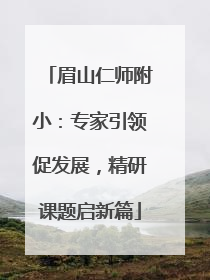 眉山仁师附小：专家引领促发展，精研课题启新篇