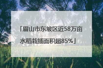 眉山市东坡区近58万亩水稻栽插面积超85%