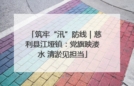 筑牢“汛”防线｜慈利县江垭镇：党旗映溇水 清淤见担当