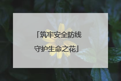 筑牢安全防线 守护生命之花