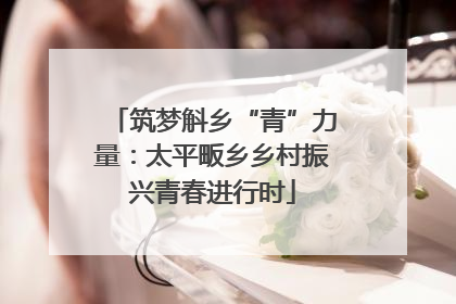 筑梦斛乡“青”力量：太平畈乡乡村振兴青春进行时