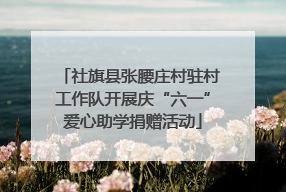 社旗县张腰庄村驻村工作队开展庆“六一”爱心助学捐赠活动