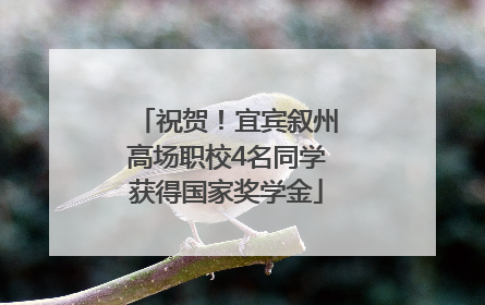 祝贺！宜宾叙州高场职校4名同学获得国家奖学金