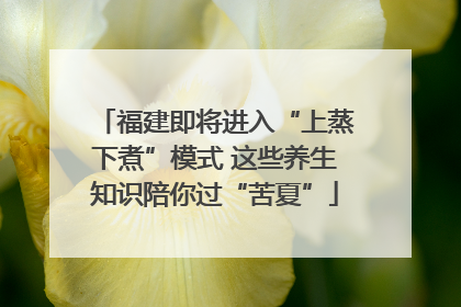 福建即将进入“上蒸下煮”模式 这些养生知识陪你过“苦夏”
