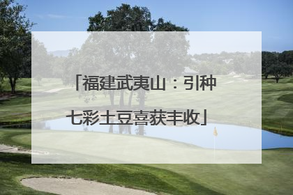 福建武夷山：引种七彩土豆喜获丰收