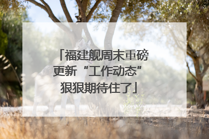 福建舰周末重磅更新“工作动态” 狠狠期待住了