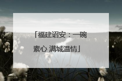 福建诏安：一碗素心 满城温情