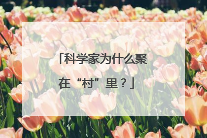 科学家为什么聚在“村”里？