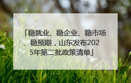 稳就业、稳企业、稳市场、稳预期，山东发布2025年第二批政策清单