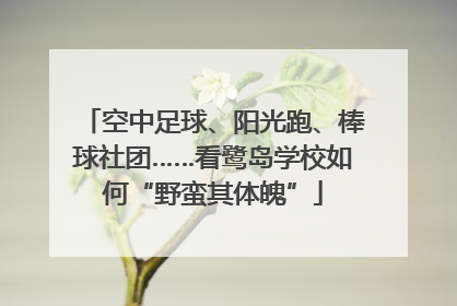 空中足球、阳光跑、棒球社团……看鹭岛学校如何“野蛮其体魄”