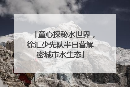 童心探秘水世界，徐汇少先队半日营解密城市水生态