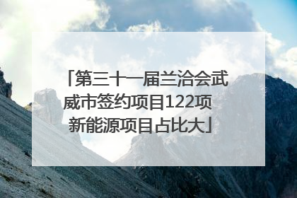 第三十一届兰洽会武威市签约项目122项 新能源项目占比大