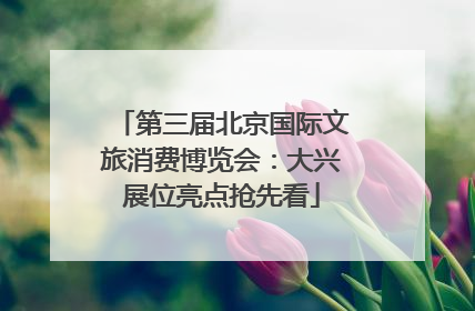 第三届北京国际文旅消费博览会：大兴展位亮点抢先看
