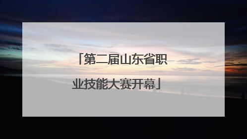 第二届山东省职业技能大赛开幕