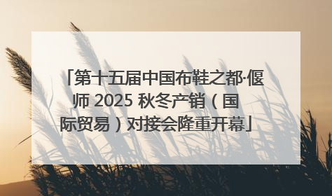 第十五届中国布鞋之都·偃师 2025 秋冬产销（国际贸易）对接会隆重开幕