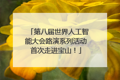 第八届世界人工智能大会路演系列活动首次走进宝山！