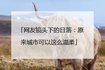 网友镜头下的日落：原来城市可以这么温柔