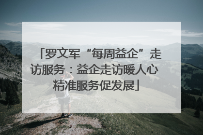 罗文军“每周益企”走访服务：益企走访暖人心 精准服务促发展