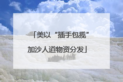美以“插手包揽”加沙人道物资分发