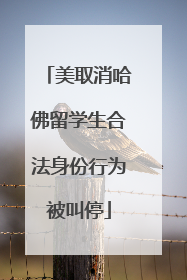 美取消哈佛留学生合法身份行为被叫停