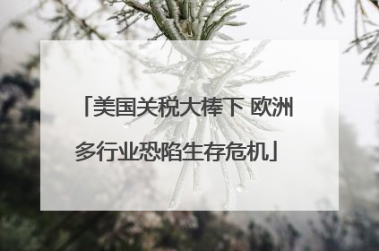 美国关税大棒下 欧洲多行业恐陷生存危机