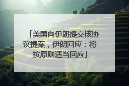 美国向伊朗提交核协议提案，伊朗回应：将按原则适当回应