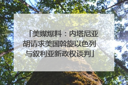 美媒爆料：内塔尼亚胡请求美国斡旋以色列与叙利亚新政权谈判